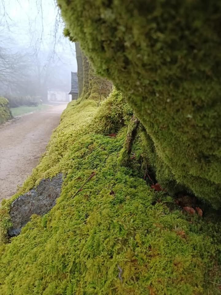Gite De Rosvern Commana Luaran gambar